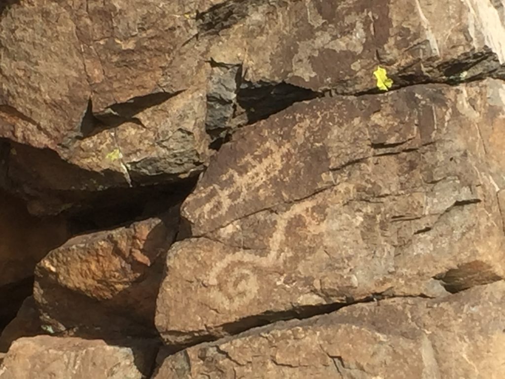 Spiral-like images carved into a big boulder.