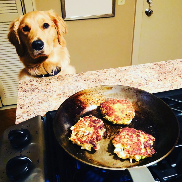 Golden retriever sits patiently infront of a skillet cooking sausage patties.