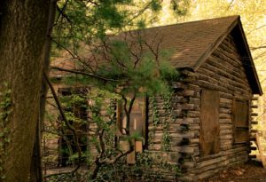 An old, abandoned log cabin in a forrest.