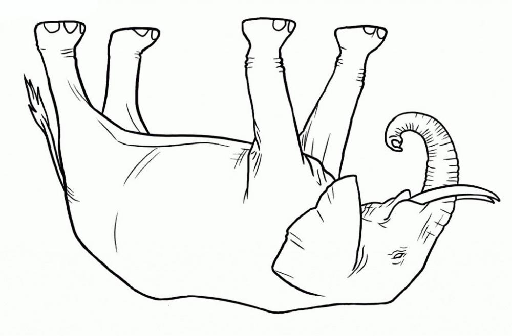 Draw this elephant as an exercise to learn how to be more creative. 
