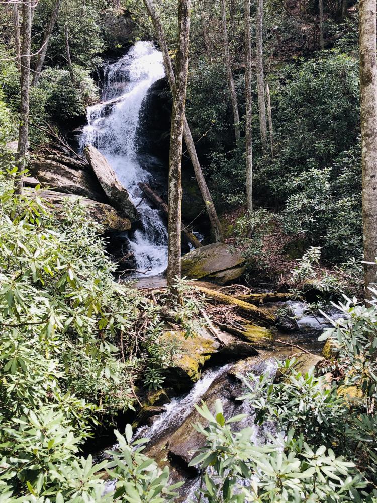 A large waterfall in the middle of a lush, green forest.