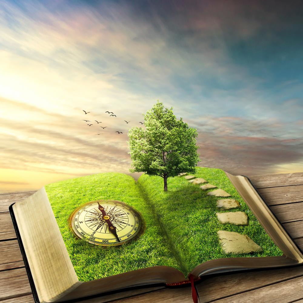 An open book with grassy textured pages, a compass on the left side of the spread and stone path and tree on the right side.