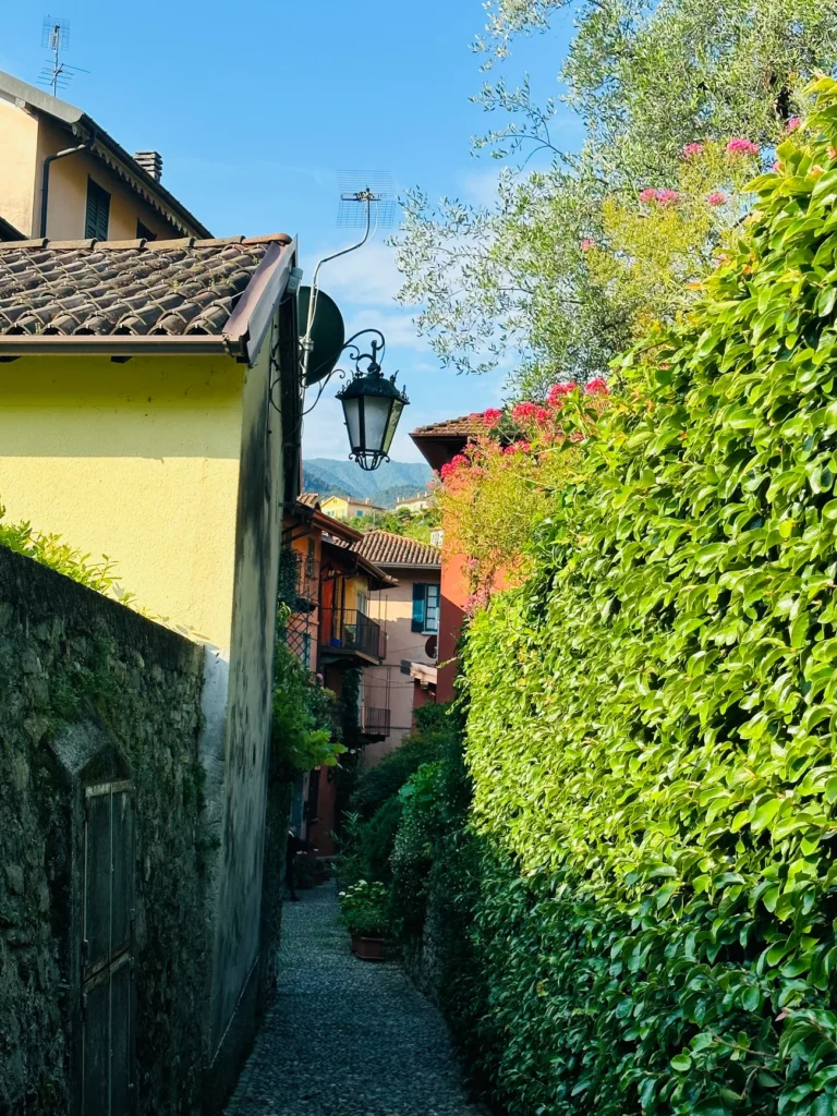 Italian Alleyway with hedge, symbolizing be gentle with yourself