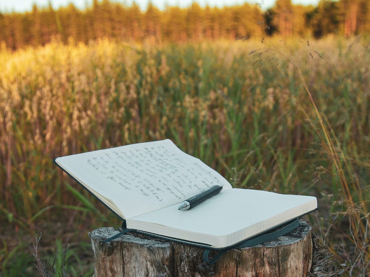 Journal in a field, on a stump. The Power of Journaling