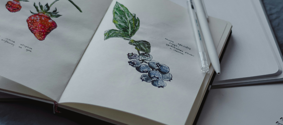 color illustrations of strawberries and blueberries on either page of an open journal, on top of other paper, to signify how to slow down