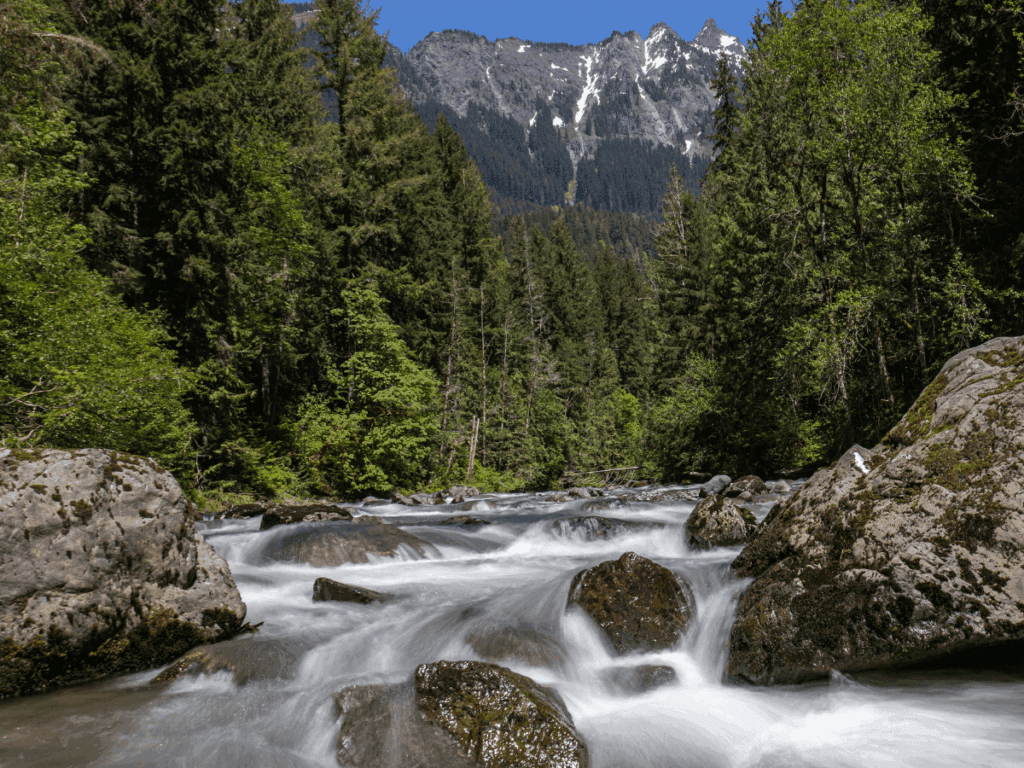 a beautiful mind; a picture of trees and a rocky stream with mountains in the background to show how taking a new hiking path can awaken the senses