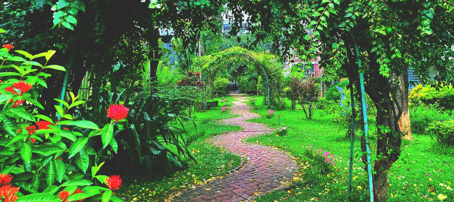 a beautiful mind; a winding, beautiful garden with lush greens and bright flowers to show that a beautiful mind is like a garden