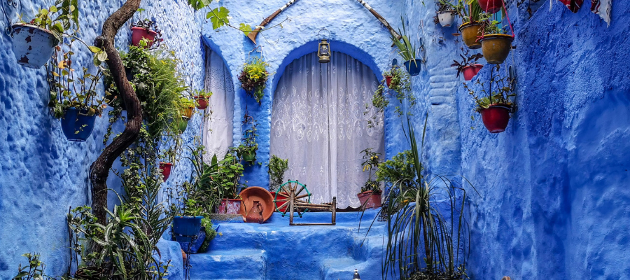 Get lost on purpose; a curtained doorway in a blue alley filled with potted plants represents purposely getting lost in travel to find inspiration